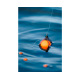 Cosulet Korum - Surface Feeder Float